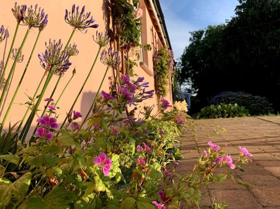 Millbay Cottage: Wonderful River Views Cosheston Exteriér fotografie