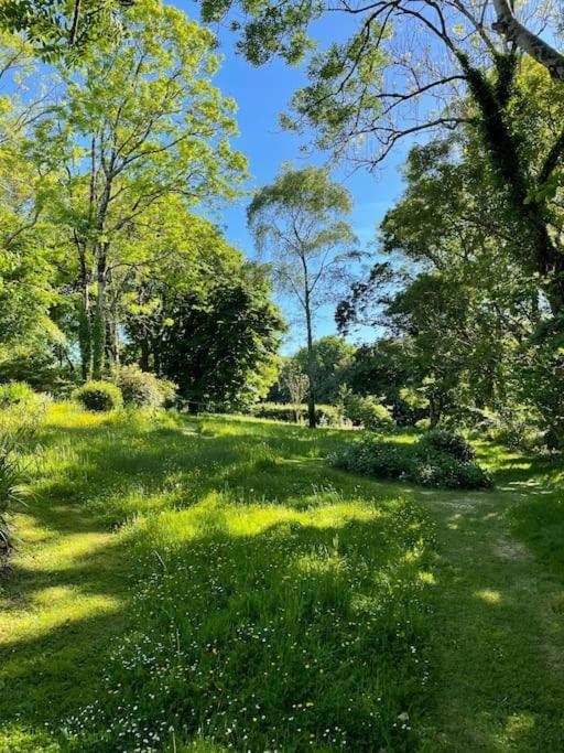 Millbay Cottage: Wonderful River Views Cosheston Exteriér fotografie