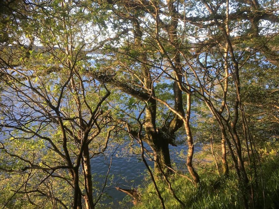 Millbay Cottage: Wonderful River Views Cosheston Exteriér fotografie